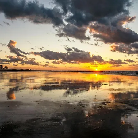 Daire Bright With Direct Sea View *