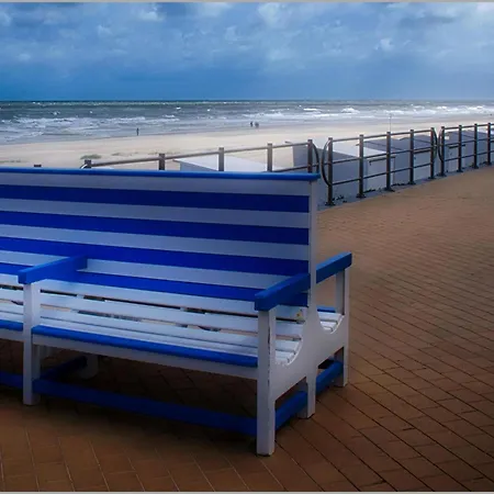 Bright With Direct Sea View *